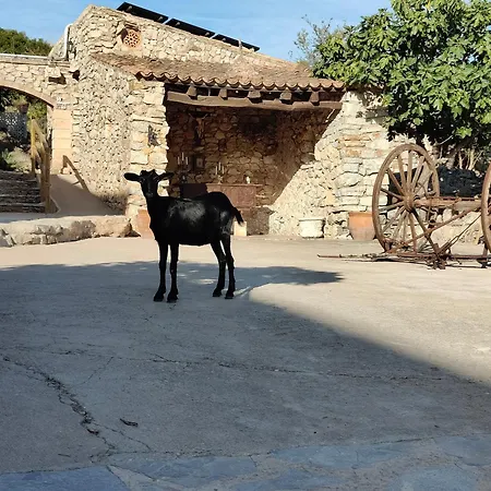 Sa Duaia